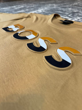 Camiseta HGBSS Areia Gradient